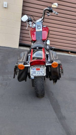 H.D. FXSCT Softtail evolution