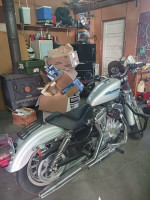 Harley