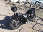 2019 Harley Custom Streetbob