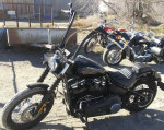 2019 Harley Custom Streetbob