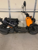 Honda ruckus