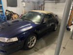 2001 Ford Mustang SVT Cobra RWD 147,000 mi