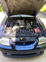 2001 Ford Mustang SVT Cobra RWD 147,000 mi