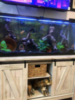 Gallon Aquarium/ Fish Tank & Equipment for sale