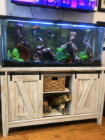 Gallon Aquarium/ Fish Tank & Equipment for sale