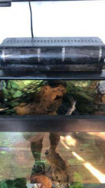 Gallon Aquarium/ Fish Tank & Equipment for sale