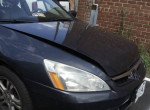 Others 72,000 mi