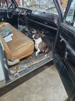 Dodge 79,000 mi