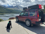 2003 Land Rover Discovery SE 4WD 94,000 mi
