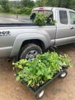 2014 Toyota Tacoma V6 4WD 53,000 mi