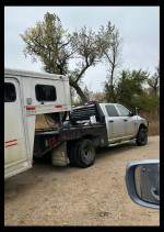 Others 100,000 mi