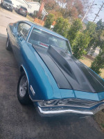 Others 137,000 mi