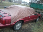 Others 121,000 mi