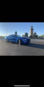 2020 Ford Mustang EcoBoost RWD 57,000 mi