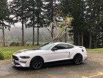 Ford GT 76,000 mi