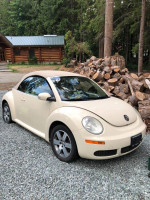 Volkswagen Beetle 86,000 mi