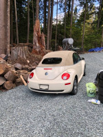 Volkswagen Beetle 86,000 mi