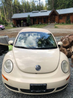 Volkswagen Beetle 86,000 mi