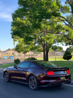 2018 Ford Mustang EcoBoost RWD 59,000 mi