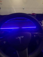 2021 Tesla Model 3 Standard Range Plus RWD 145,000 mi