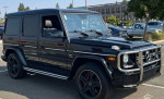 Others 51,000 mi