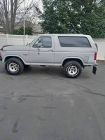 1994 Ford Bronco 58,000 mi