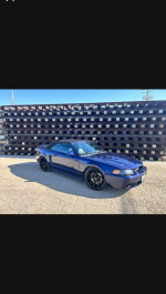 Others 86,000 mi
