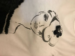 Deco Designer Top
