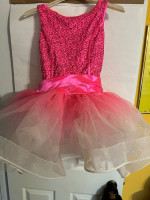 Sissy, boi or girl, NEW, spandex &Lycra, fit up to Medium top, 32 inch waist, $8