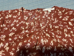 Women's Short Sleeve Top (L)