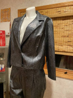 2 Piece Pant Set Snake Outfit Top Jacket Shinny Black Women’s Size 20W
