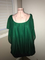 NWT Sara Michelle Green sparkly 2X Top