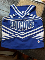 Lower dauphin cheer top LD Falcons top only