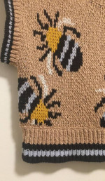 Sarah Gordan Maeve Anthropologie Erin Icon Vest Honey Bee Woven Knit NEW