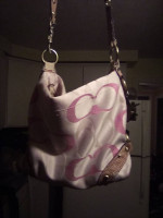 Assorted clothes and pocketbooks ( example coach)