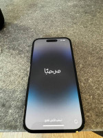 iPhone 14 Pro 256 GB unlocked