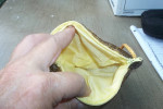 Gold Bead Scollop Shaped Bag