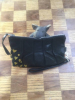 Stitch & Swash Designer Wristlet Clutch