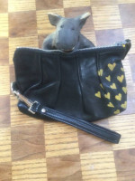 Stitch & Swash Designer Wristlet Clutch