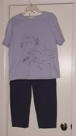 Women's size 14 pant suit