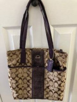 Coach Purse in Signature Canvas
