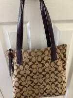 Coach Purse in Signature Canvas