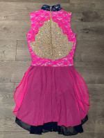 Custom Made Dance Ice Skating Costume, Adult Medium, Blue/Pink Colors