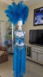 Halloween Mardi Gras Professional Belly Dancing or Butterfly Costume