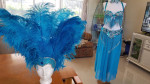 Halloween Mardi Gras Professional Belly Dancing or Butterfly Costume