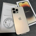 iPhone 14 Pro Gold  (512GB) Unlocked + Accessories