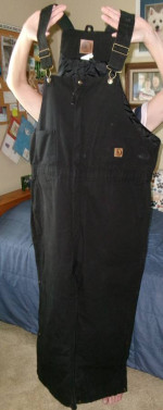 Men's insulated bib overalls