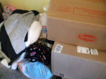 Over 570 Pieces Clothing for Resale - Lot for Resale - Many Name Brand