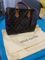 Louis Vuitton monogram speedy 25