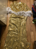 Costume, Golden, Adult S-M